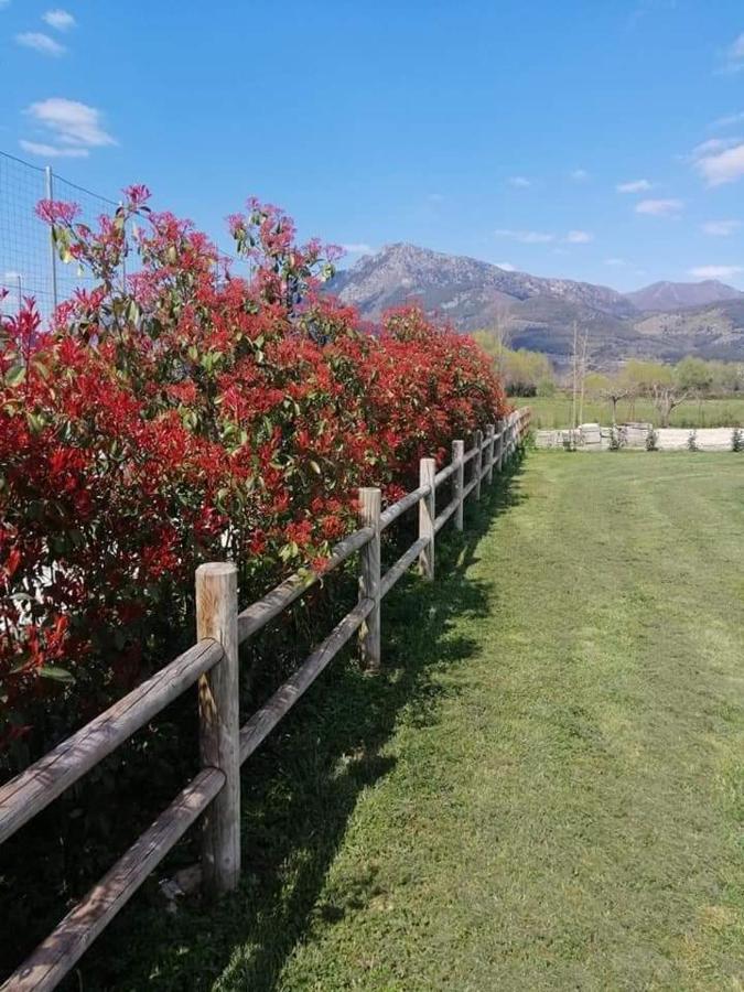 L'Airone Country House Hotel SantʼElia Fiumerapido Kültér fotó